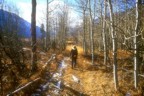 Returning from a failed attempt at Sand Dune Falls
